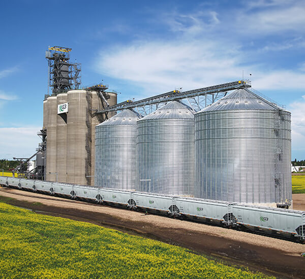 An example of a grain holding facility by G3